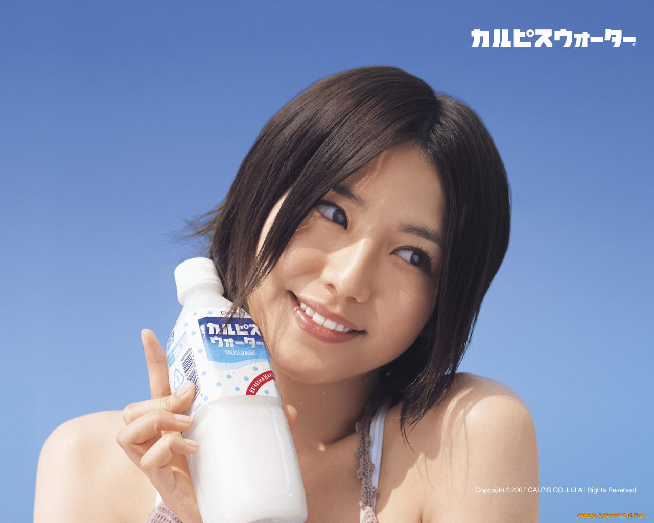 calpis, 